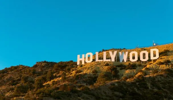 Secure Offline Knowledge: Download Wikipedia Today